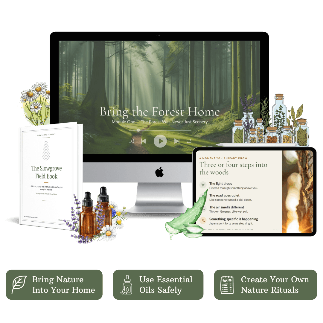 Bring the Forest Home: The Video Course | Forest Bathing & Essential Oil Safety