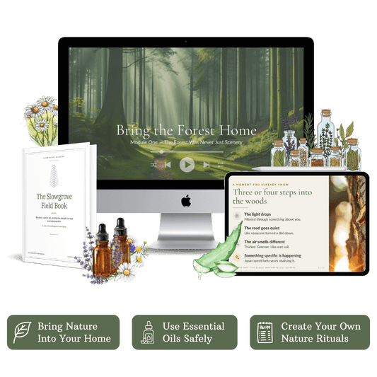 Bring the Forest Home: The Video Course | Forest Bathing & Essential Oil Safety