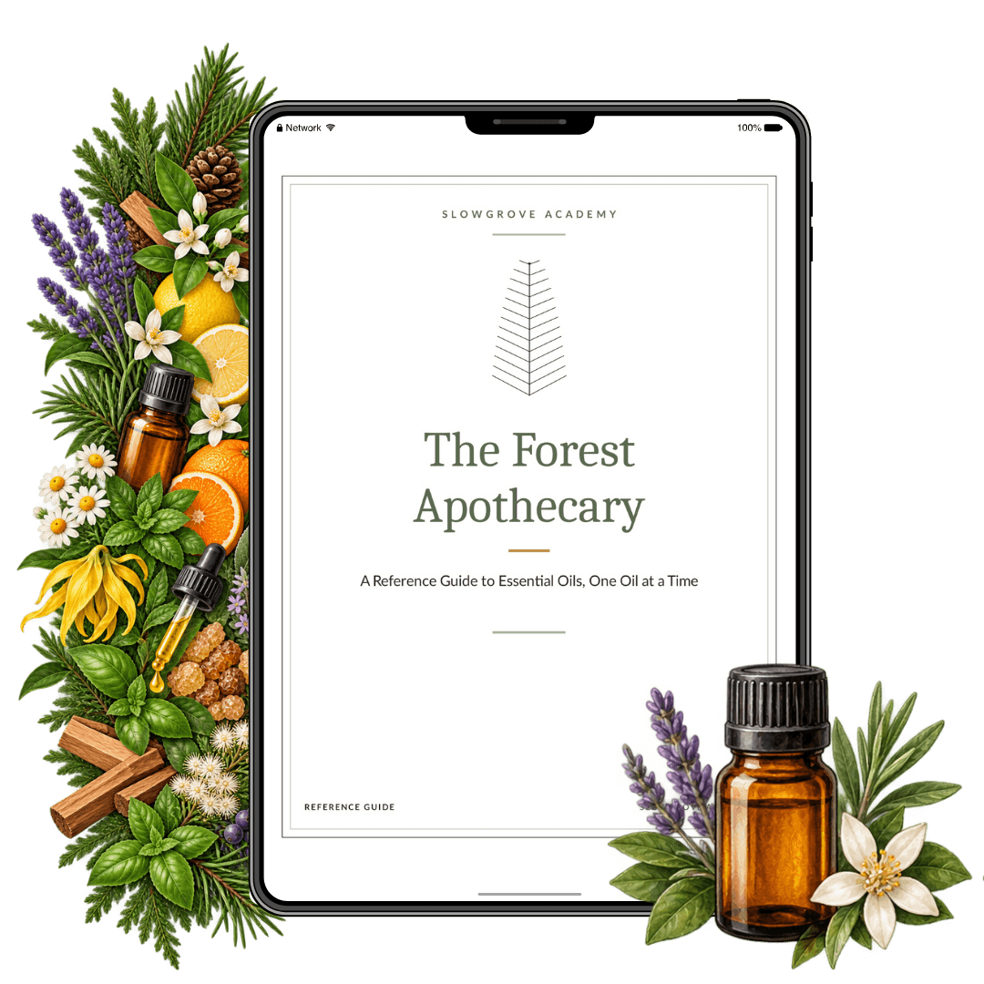 The Forest Apothecary Handbook