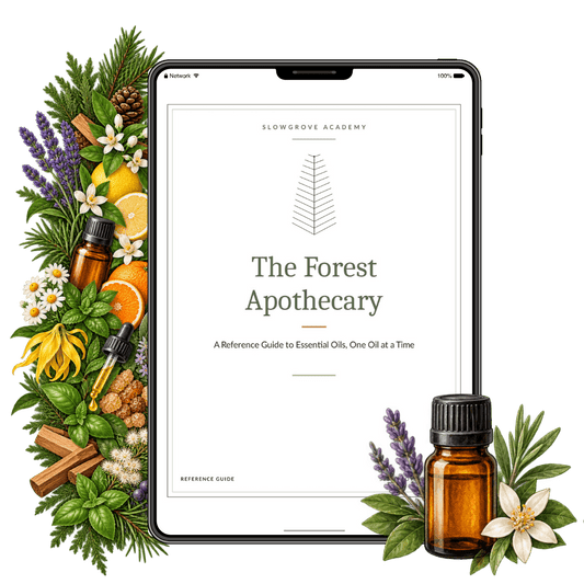 The Forest Apothecary Handbook