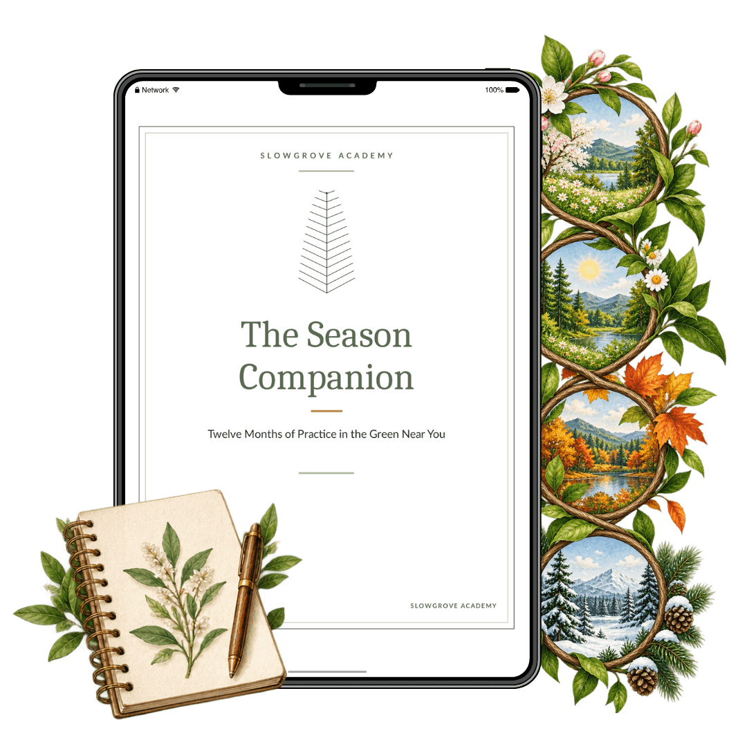 The Season Companion Guide