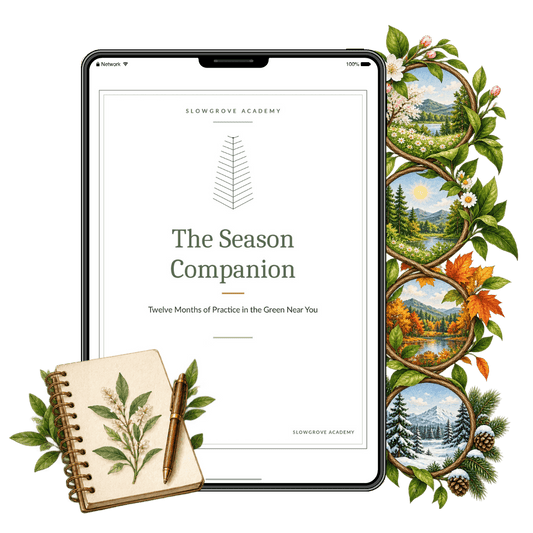 The Season Companion Guide